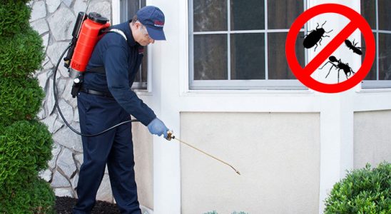 Mithatpaşa Böcek İlaçlama böcek ilaçlama ve haşere kontrolü — ilaclama-tr.com